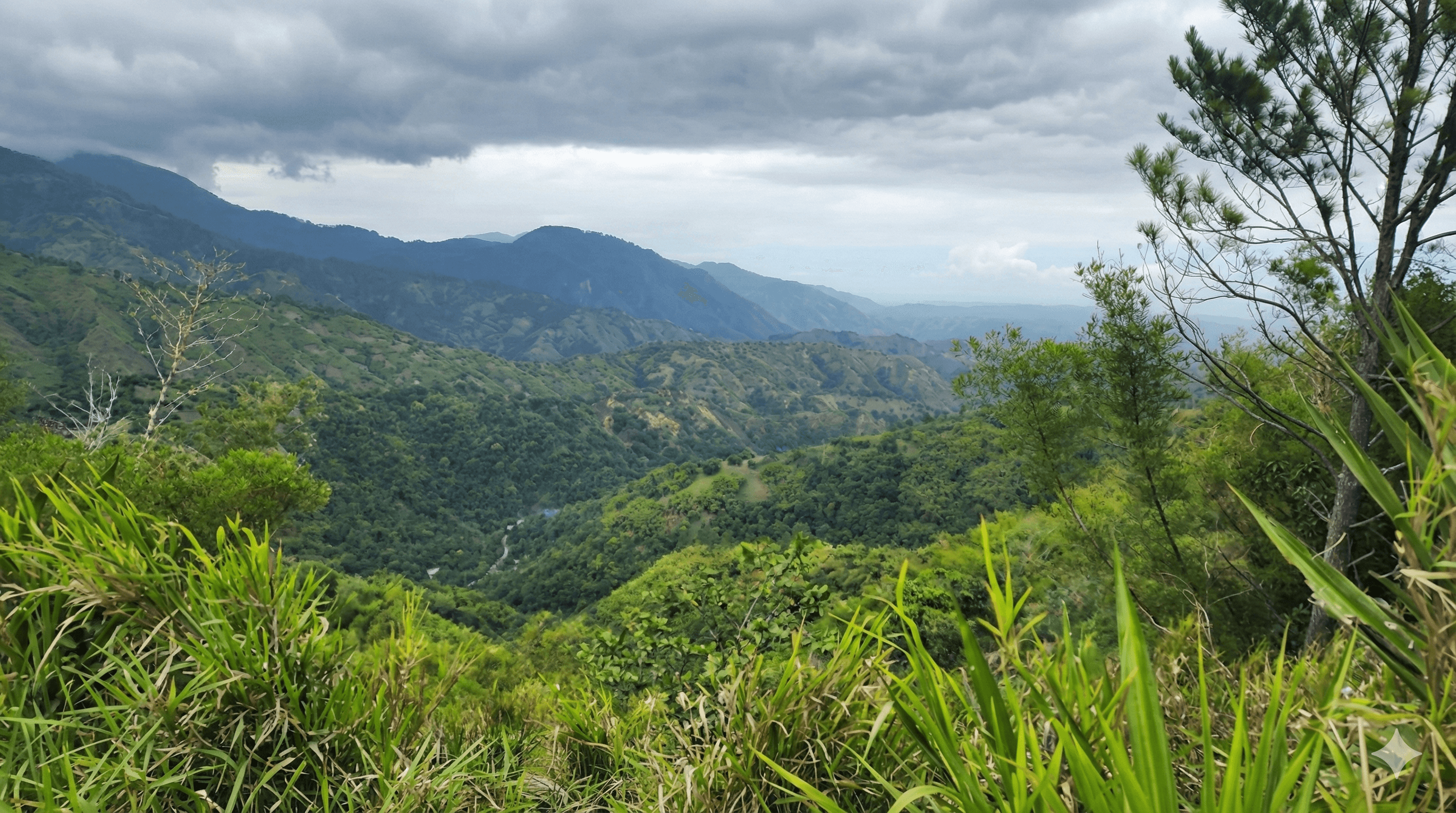 View from property, intended for eco-tourism cabin development but traditionally agricultural land use